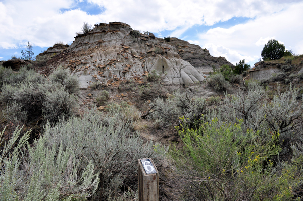 trail marker number 6
